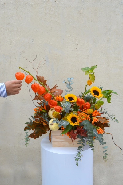 Producto Cajita Calabaza Imagen