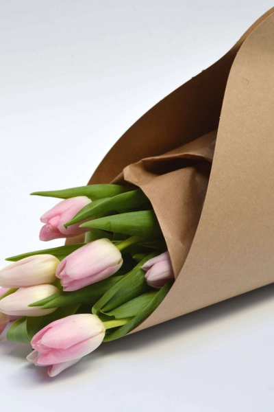 Tulipanes Take Away