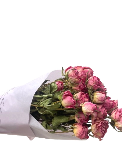 Pitiminí Preservada