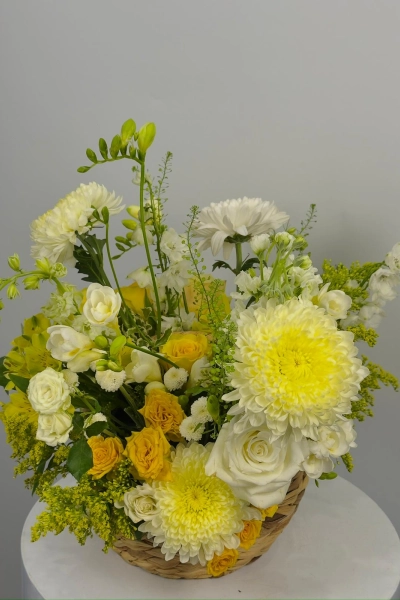 Cesta Yellow