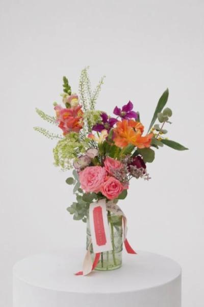 Producto Violetero Alegría Imagen