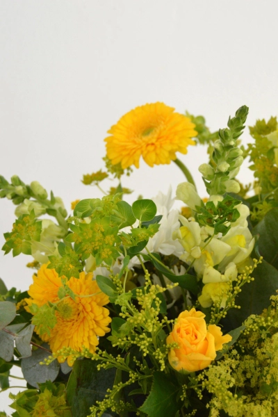 Ramo Yellow