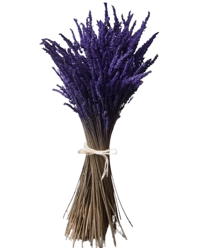 Producto Lavanda Imagen