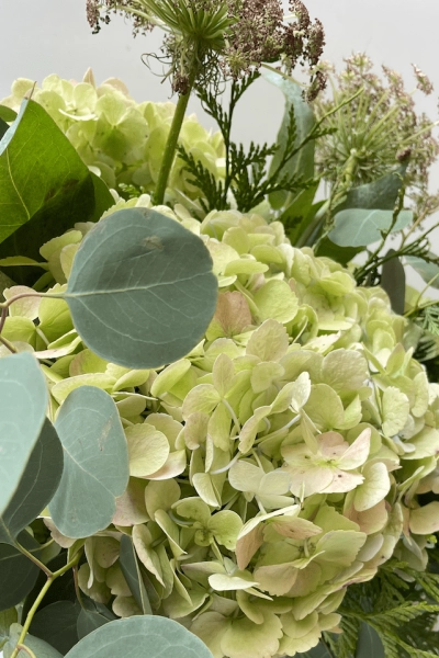 Ramo de Hortensias