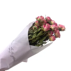 Pitiminí Preservada