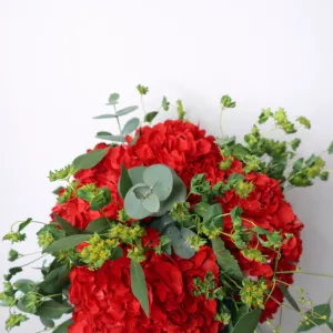 Ramo Rojo Infinito