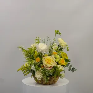 Cesta Yellow