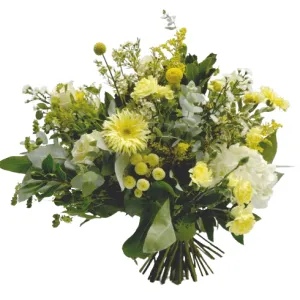 Ramo Yellow