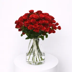 Ramo Pitiminí "Todo al rojo"