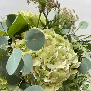 Ramo de Hortensias
