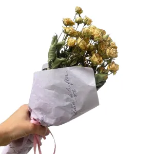 Pitiminí Preservada