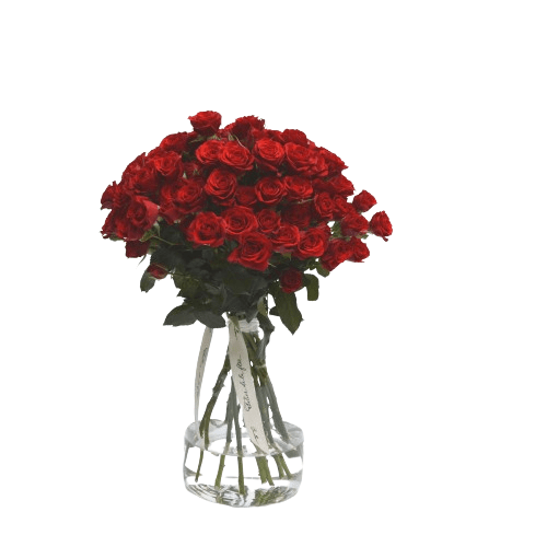 Ramo Pitiminí "Todo al rojo"