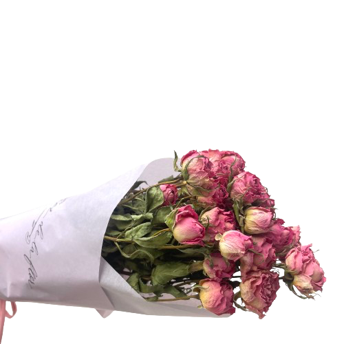 Pitiminí Preservada