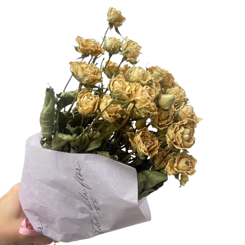 Pitiminí Preservada