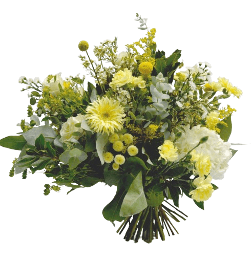 Ramo Yellow