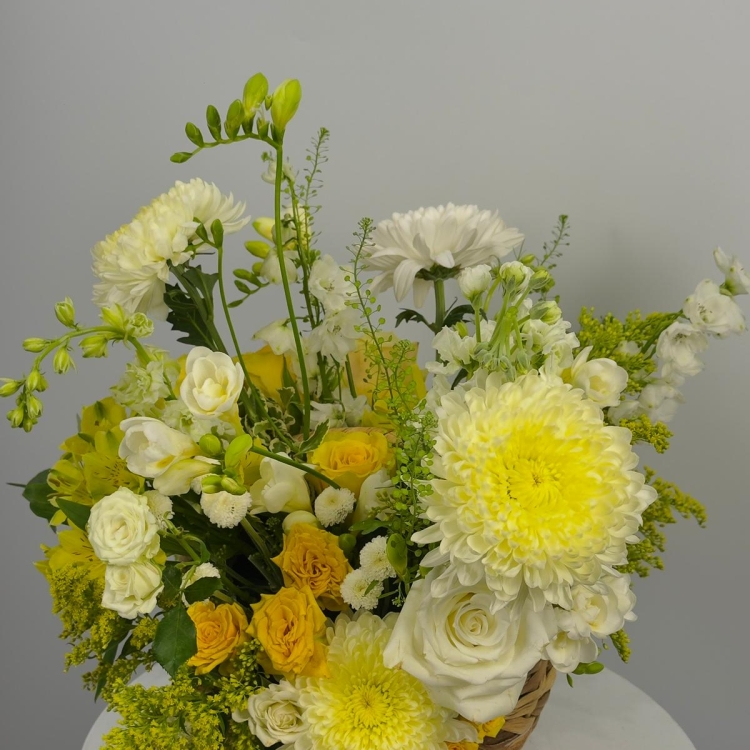 Cesta Yellow