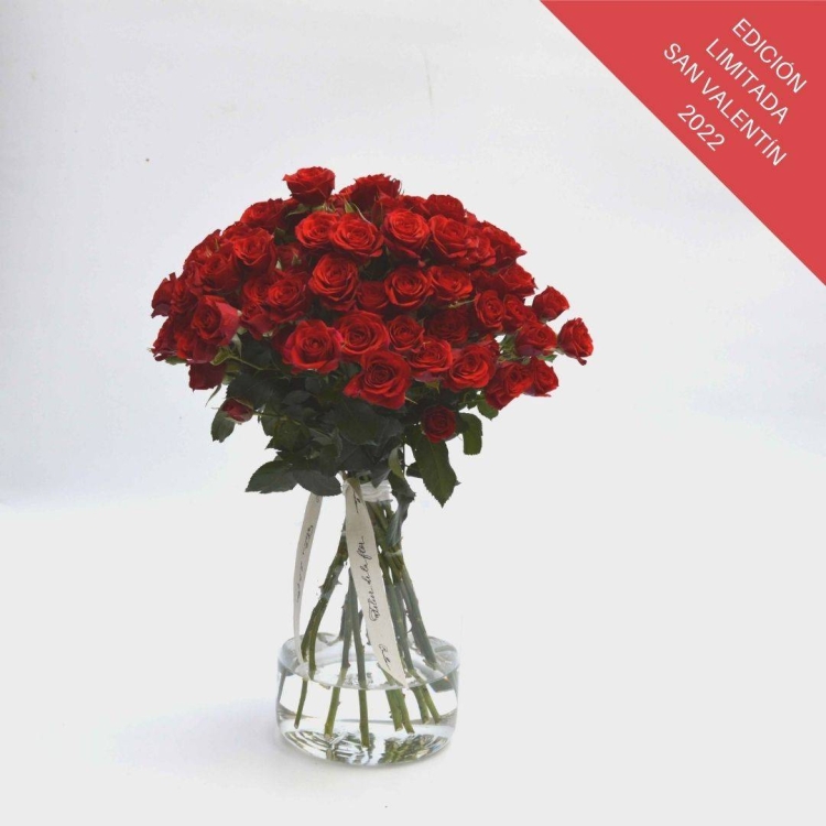 Ramo Pitiminí "Todo al rojo"