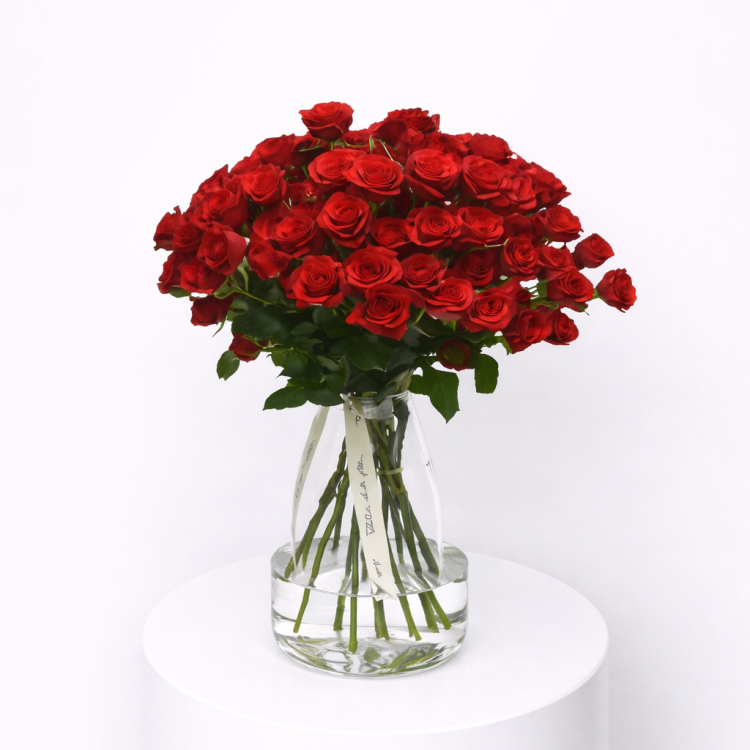 Ramo Pitiminí "Todo al rojo"