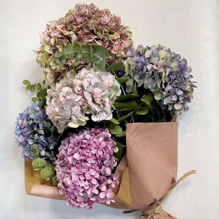 Hortensias Otoñales