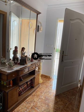 https://cdn.dinacode.com/levelup-featured/public-read/ad/albacete/121ccb91-3655-4d23-a111-b86a1a76cc3c/212b765f-5d99-4e48-941a-fa1b062e6535%3Frule%3Ddetail_640x480
