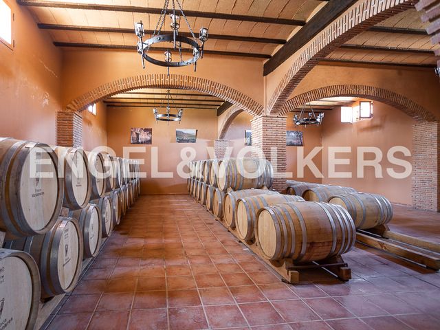 https://cdn.dinacode.com/levelup-featured/public-read/ad/albacete/20147760-6ff7-48b7-8696-203e9f6c298e/8fc83f86-1d2d-426f-9482-7bf92afd33c6%3Frule%3Ddetail_640x480