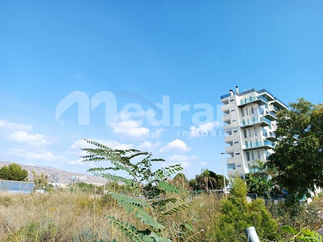 https://cdn.dinacode.com/levelup-featured/public-read/ad/alicante/241a8f04-ed8c-41a5-8701-034140c89d62/0b730742-73df-46e1-aa99-8dd5d68873f0%3Frule%3Ddetail_640x480