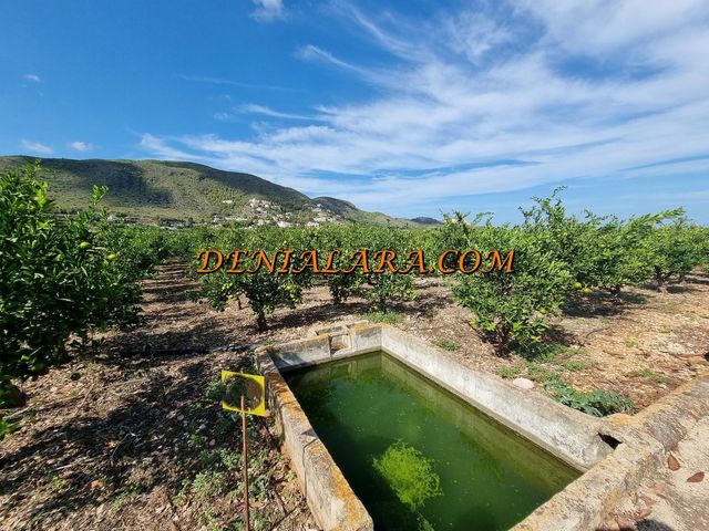 https://cdn.dinacode.com/levelup-featured/public-read/ad/alicante/79dcaf13-e9ac-4394-8b3b-853f422f8420/8260af25-f206-4021-9e79-0a1bfd549800%3Frule%3Ddetail_640x480