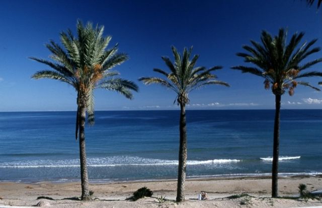 https://cdn.dinacode.com/levelup-featured/public-read/ad/alicante/8432478f-1a28-47f4-a8ef-643d2cf78f03/02226f7e-1da3-4d48-a6c0-a47303219918%3Frule%3Ddetail_640x480