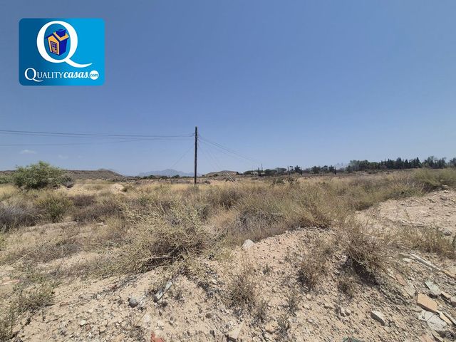 https://cdn.dinacode.com/levelup-featured/public-read/ad/alicante/a106843c-2143-4cd9-8c8d-d4d88258b798/d4726613-4efb-4b2c-a01f-1df04c28b7c8%3Frule%3Ddetail_640x480