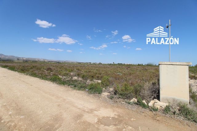https://cdn.dinacode.com/levelup-featured/public-read/ad/alicante/a8aaaa0a-4329-4f7a-ae7b-383523fc2e8f/a9b2d4b3-b68a-4ff0-9ecc-6359aaf793c8%3Frule%3Ddetail_640x480