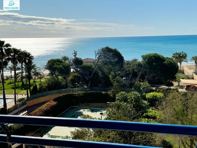 https://cdn.dinacode.com/levelup-featured/public-read/ad/alicante/b8fffbcf-2d2b-4a4d-8821-e4e4599728b1/6ca15aa4-8fc2-4cd9-b689-37e09faa8fa0%3Frule%3Ddetail_640x480