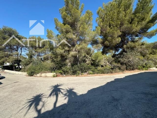 https://cdn.dinacode.com/levelup-featured/public-read/ad/alicante/ba816793-aea2-47ef-895c-cfdb4565d344/4830d045-ea31-41a9-a34f-05d521bcea32%3Frule%3Ddetail_640x480