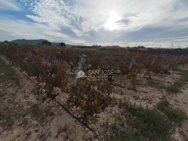 https://cdn.dinacode.com/levelup-featured/public-read/ad/alicante/ca84e6f9-1a6c-4b0c-b654-8fe637d6f89d/bc58bb09-2076-494b-8b25-088f92b89401%3Frule%3Ddetail_640x480