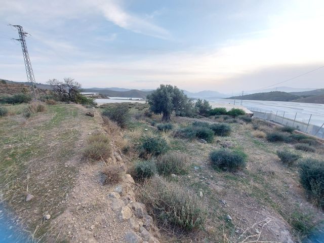 https://cdn.dinacode.com/levelup-featured/public-read/ad/almeria/57001a21-9144-407c-a202-0ed9a799c016/1e66a9c6-af4b-4a41-9127-e84d3a9f4b5f%3Frule%3Ddetail_640x480