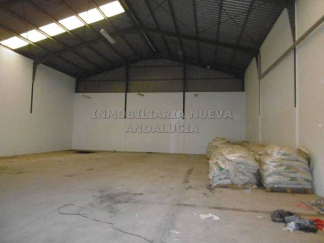 https://cdn.dinacode.com/levelup-featured/public-read/ad/almeria/81ea4959-0fba-4ce1-8947-0a40db3c0297/b78ac12c-0944-4230-90ba-4b5ab50b4fdd%3Frule%3Ddetail_640x480