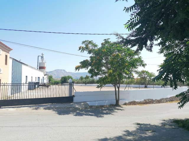 https://cdn.dinacode.com/levelup-featured/public-read/ad/almeria/ae640862-7a38-40a0-8cb3-b0da7807c396/fcad9655-7cd8-40a1-bdde-9c3edfe6b8b2%3Frule%3Ddetail_640x480