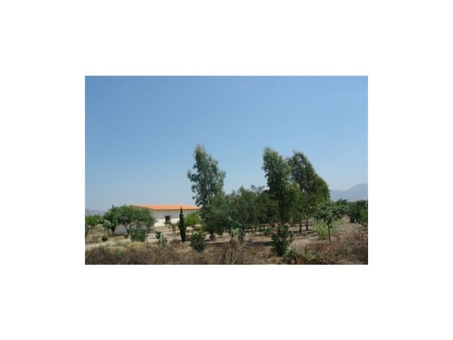 https://cdn.dinacode.com/levelup-featured/public-read/ad/almeria/c158fac6-f736-4579-926c-ad2aceedd30c/a8db34e9-9ae4-4ffc-be97-64c11c7b5f60%3Frule%3Ddetail_640x480