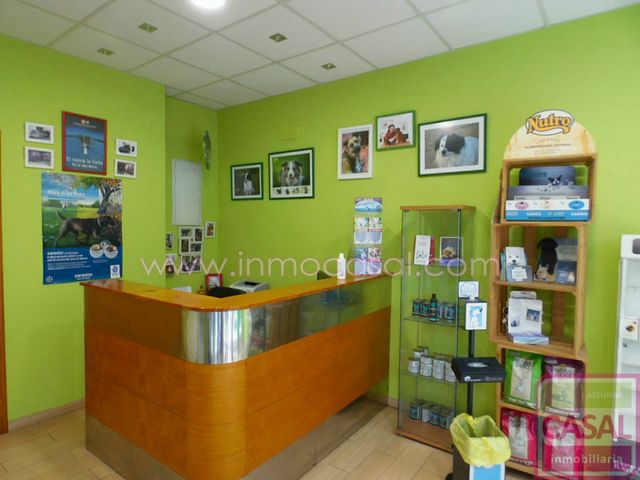 https://cdn.dinacode.com/levelup-featured/public-read/ad/asturias/1477bcc9-bf88-4829-a61c-aac035bc2d61/31c8f860-711a-47ca-8f8c-74f2d91498e8%3Frule%3Ddetail_640x480