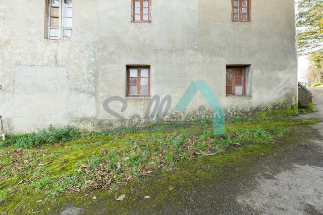 https://cdn.dinacode.com/levelup-featured/public-read/ad/asturias/22ead9e9-dcf3-41e0-82eb-c03d2e280176/e546e788-5435-40a0-aea5-2bca849b91ea%3Frule%3Ddetail_640x480