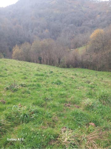 https://cdn.dinacode.com/levelup-featured/public-read/ad/asturias/36c2afb5-46a8-4cc7-a231-d8e8a1fba999/c58f6fe3-4630-4a2f-8089-2b01e82139e2%3Frule%3Ddetail_640x480