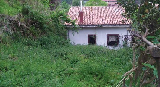 https://cdn.dinacode.com/levelup-featured/public-read/ad/asturias/3b7a2d23-51d1-4e34-b57a-921a7eb57389/1ff9dfc1-34a4-4e78-bd5b-41e8af8bdfd9%3Frule%3Ddetail_640x480