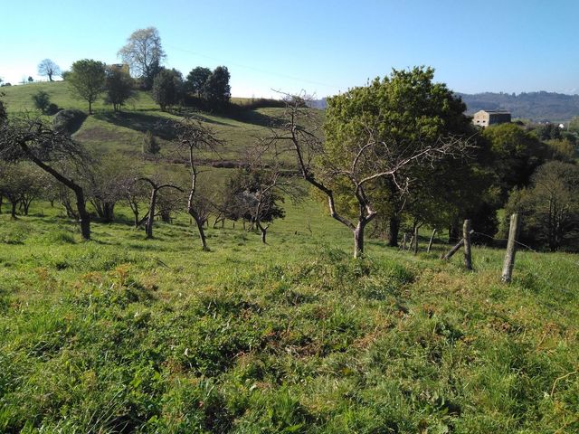 https://cdn.dinacode.com/levelup-featured/public-read/ad/asturias/65efeb56-b76a-4b8e-97a8-bf706111a323/90a00f68-c499-4195-8934-55451ac68eab%3Frule%3Ddetail_640x480
