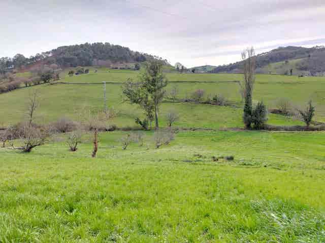 https://cdn.dinacode.com/levelup-featured/public-read/ad/asturias/6f65c380-2e66-4980-97c5-f9afe2eb8dce/23df6952-34b7-4860-9666-51860bda628c%3Frule%3Ddetail_640x480