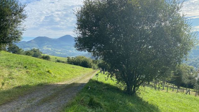https://cdn.dinacode.com/levelup-featured/public-read/ad/asturias/73e39f0d-2c0d-4832-8fba-ed6b3955f96f/4b5e8768-69e7-438b-ba6a-85c5a6845759%3Frule%3Ddetail_640x480