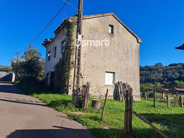 https://cdn.dinacode.com/levelup-featured/public-read/ad/asturias/8bc4ecbc-c433-4863-bc7b-b7f88f77c8d1/47a1c626-3934-42b5-8cb1-cc89b915e00b%3Frule%3Ddetail_640x480