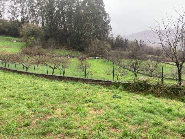 https://cdn.dinacode.com/levelup-featured/public-read/ad/asturias/c0c782a6-2043-44f5-8b20-d6b1c57e8b18/0c5ce384-8399-44b4-b313-3218c796a716%3Frule%3Ddetail_640x480