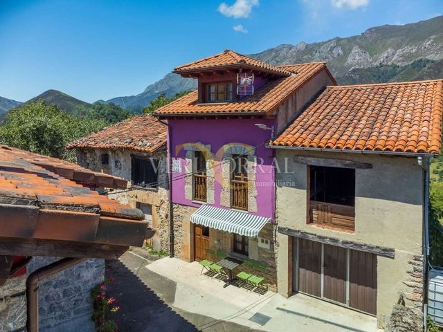 https://cdn.dinacode.com/levelup-featured/public-read/ad/asturias/ebe0edb6-5585-4b78-a739-cbcc6fa56551/b87051b1-5c8a-4156-aa74-7e39de9225d2%3Frule%3Ddetail_640x480