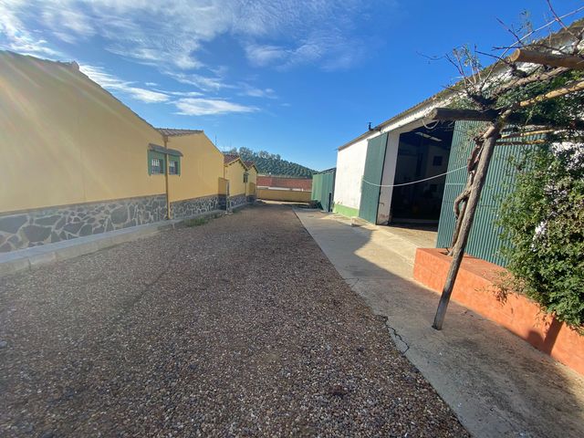 https://cdn.dinacode.com/levelup-featured/public-read/ad/badajoz/77809940-c5f9-455f-be6f-ad7d397ef649/35bdb6dd-7b3b-4f12-b7fa-4fdecb13b75b%3Frule%3Ddetail_640x480