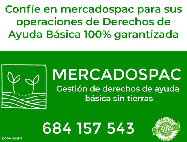 https://cdn.dinacode.com/levelup-featured/public-read/ad/badajoz/8dd36306-c07c-4587-8657-07d5b0be0042/94b781c2-5c71-4702-aca8-c6bd32494f59%3Frule%3Ddetail_640x480