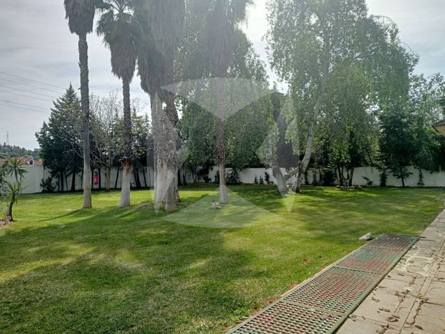 https://cdn.dinacode.com/levelup-featured/public-read/ad/badajoz/db0d1e9b-6837-4435-83f0-4720af18758c/a7c8d608-b6a9-45f5-9ca1-5a081a18e2a1%3Frule%3Ddetail_640x480
